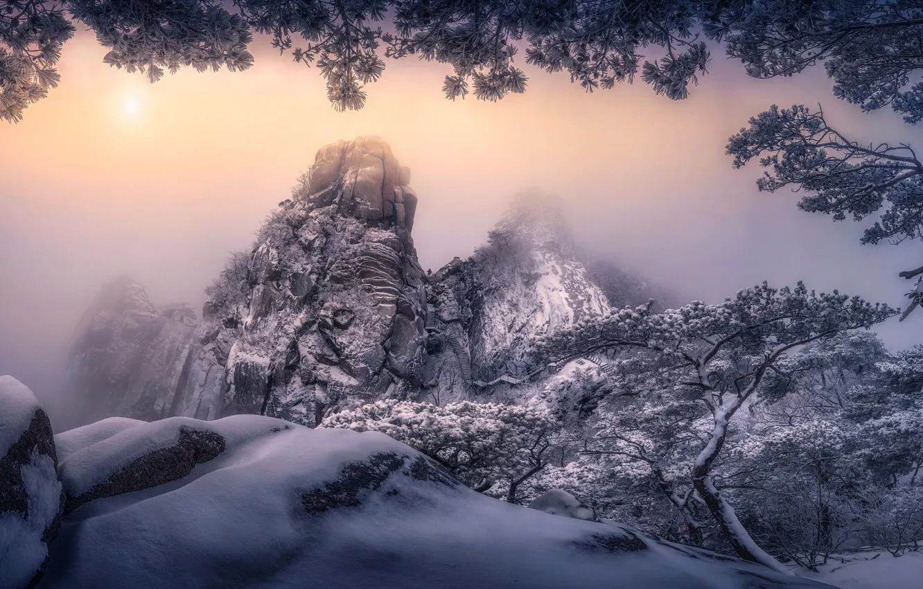 Photo wallpaper winter, frost, the sky, snow, mountains, tree, rocks, view