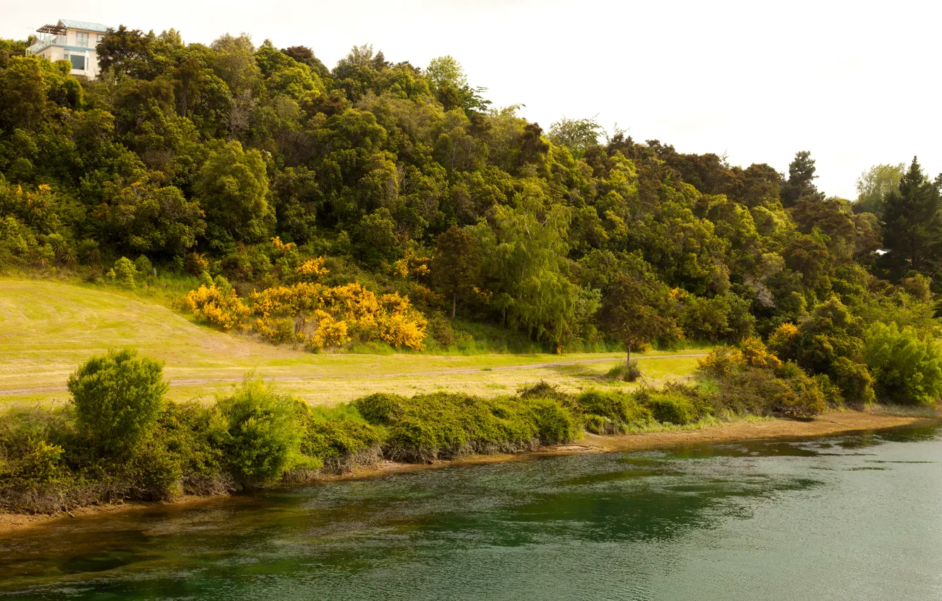 Photo wallpaper road, river, shore, slope, New Zealand, Waikato River