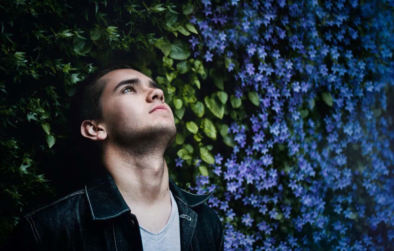 Photo wallpaper nature, background, guy