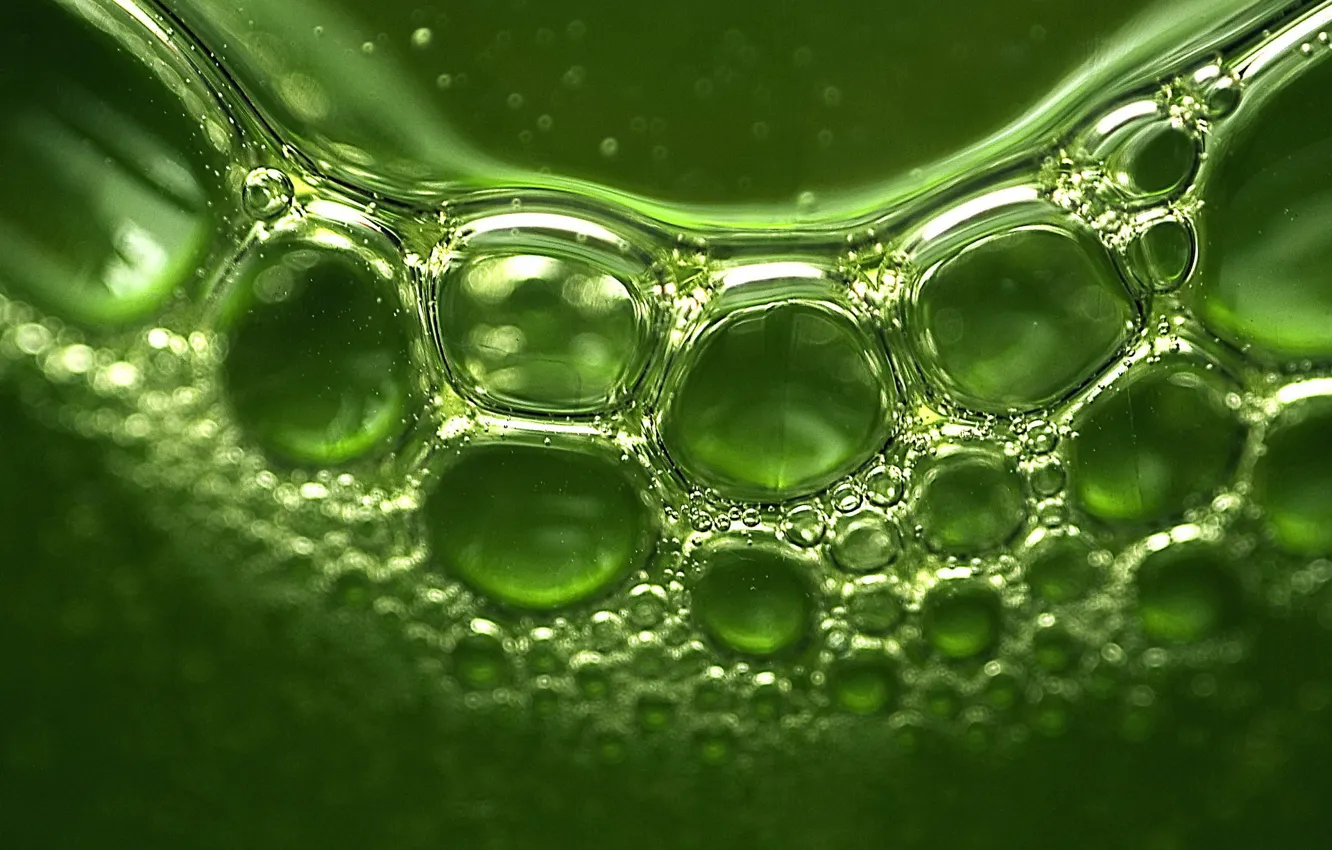 Photo wallpaper greens, reflection, bubbles