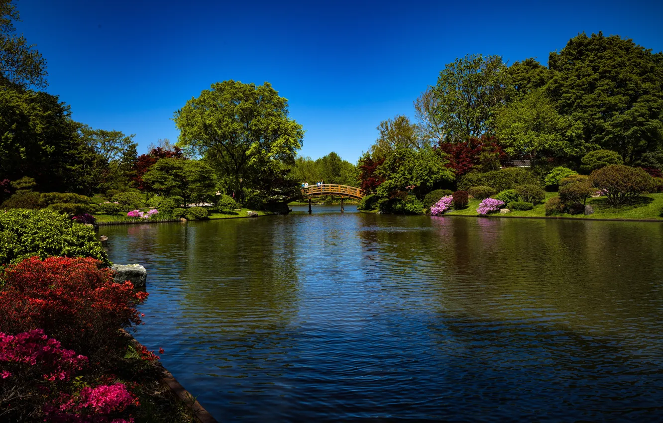 Photo wallpaper greens, the sky, the sun, trees, flowers, bridge, pond, Park