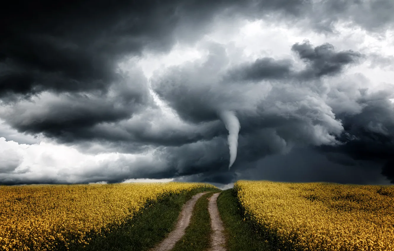 Photo wallpaper road, the storm, field, the sky, flowers, clouds, storm, the way