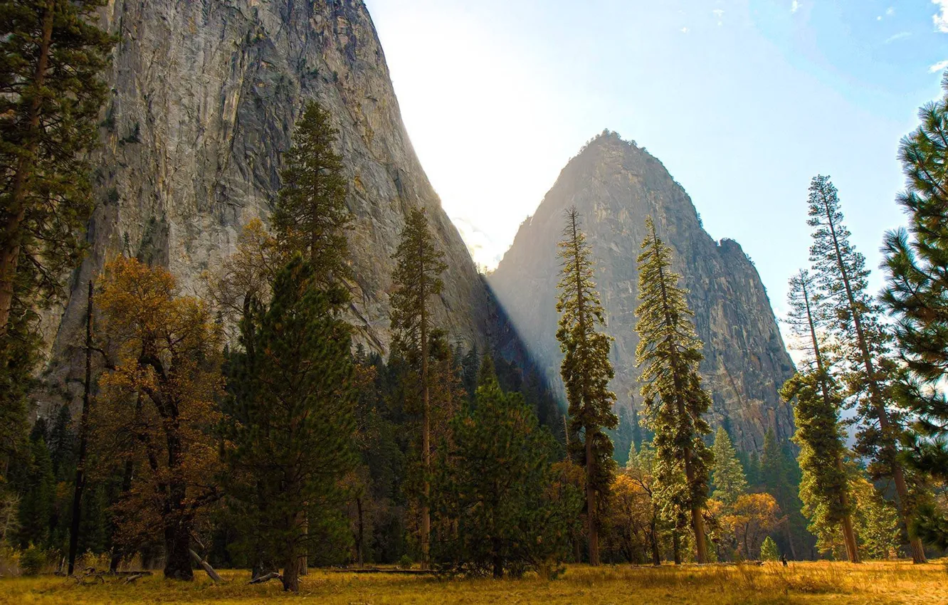 Photo wallpaper Apple, Yosemite, OS X, 10.10