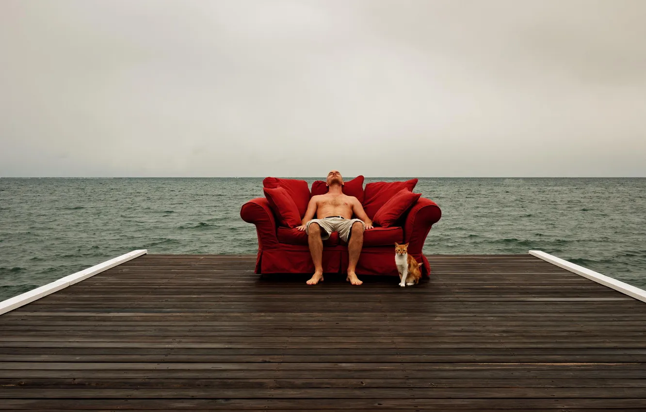 Photo wallpaper sea, the storm, cat, sofa, horizon, pierce, male, gray clouds