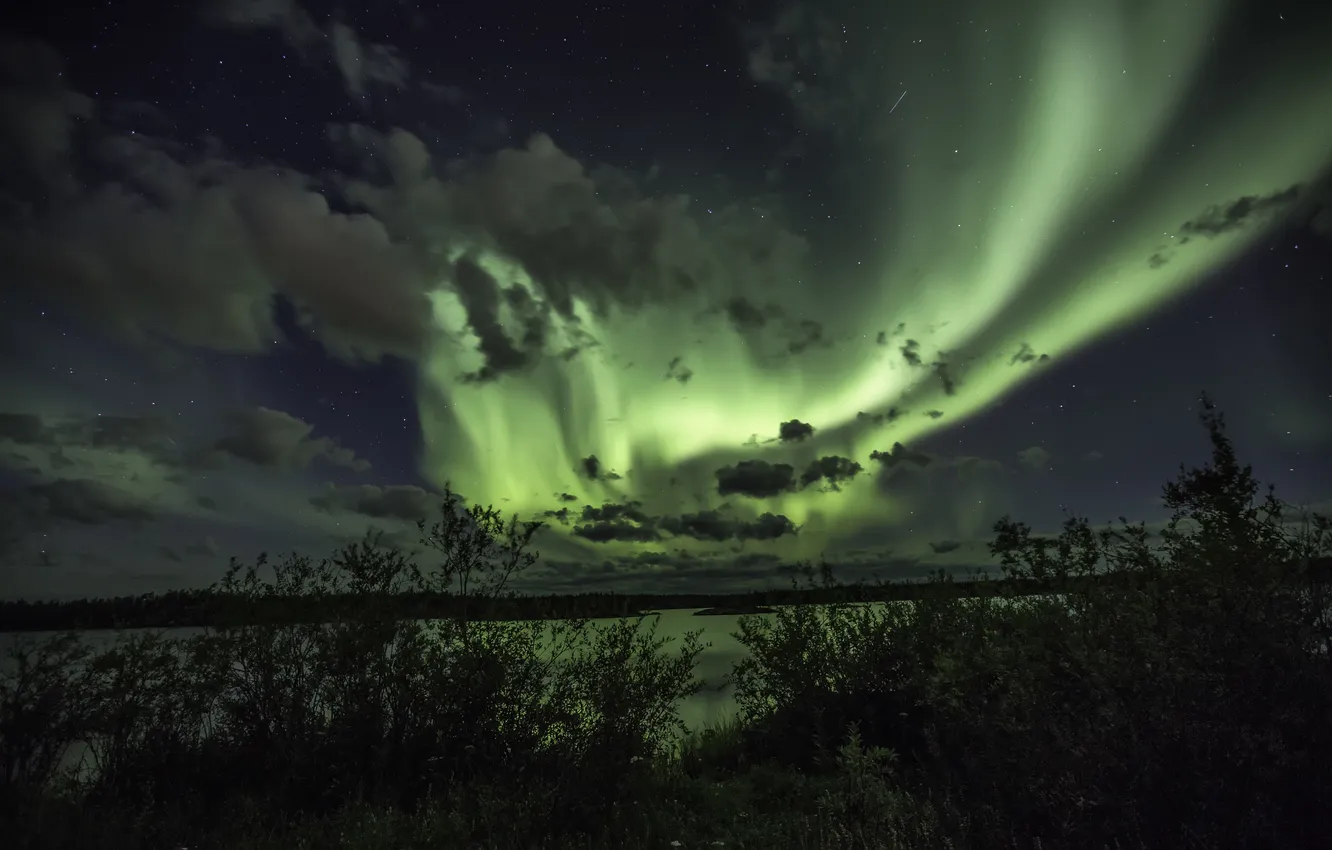 Photo wallpaper forest, the sky, stars, clouds, lake, Northern lights