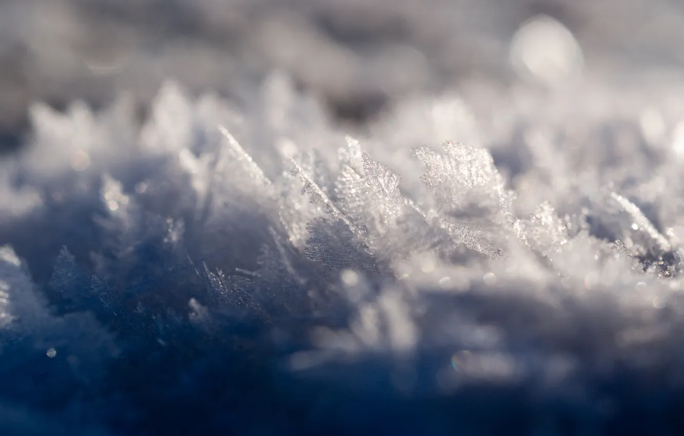 Photo wallpaper winter, macro, snow, frost, crystals
