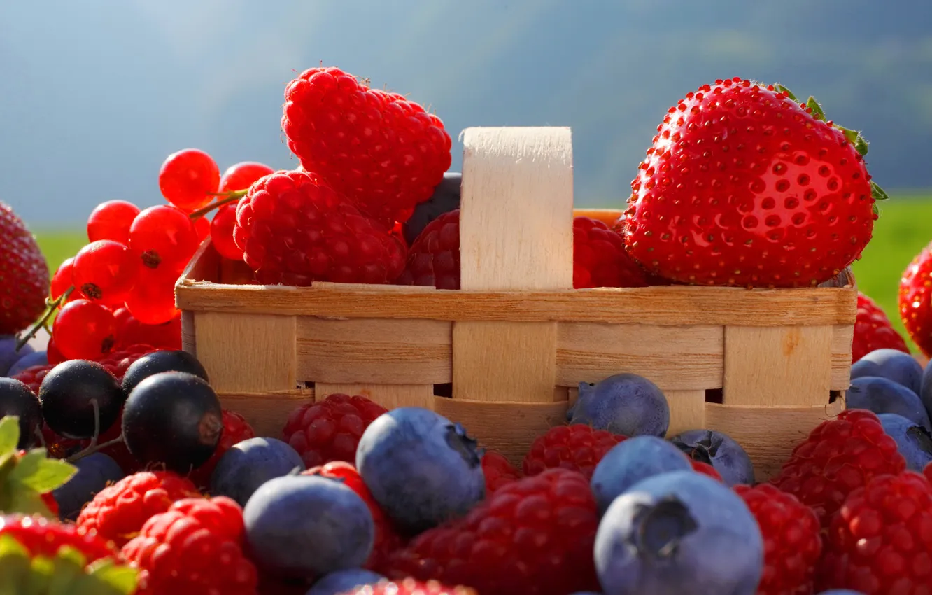 Photo wallpaper berries, raspberry, garden, strawberry, basket, currants