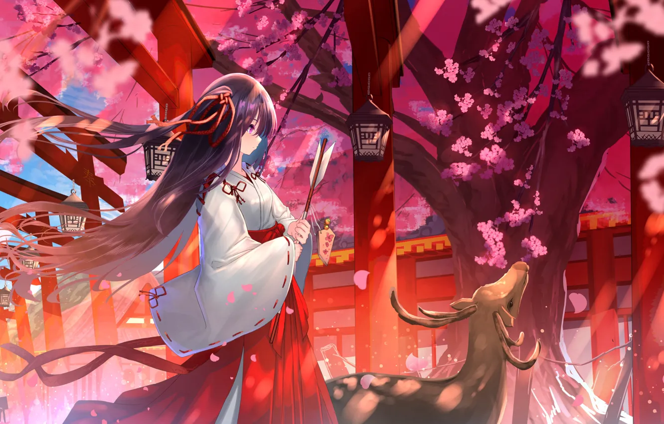 Photo wallpaper deer, Japan, lights, arrow, priestess, long hair, Sunny day, torii gate