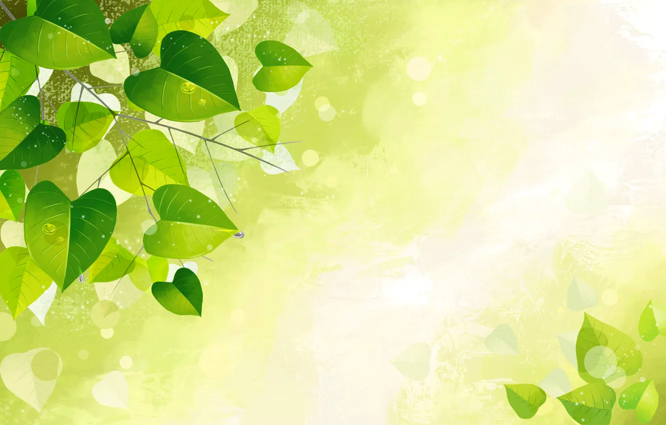 Photo wallpaper leaves, drops, nature, texture