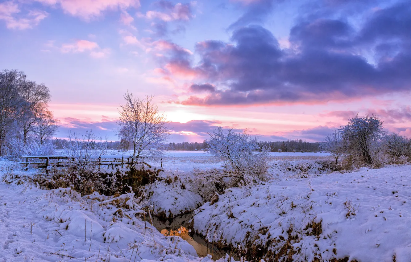Photo wallpaper winter, field, snow, trees, bridge, dawn, morning, village