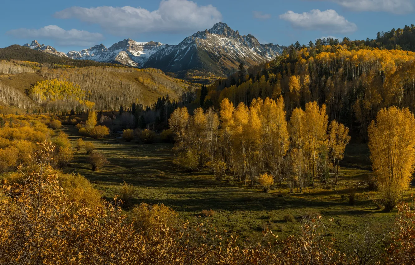 Photo wallpaper autumn, forest, trees, mountains, Colorado, Colorado, San Juan Mountains, San Juan Mountains
