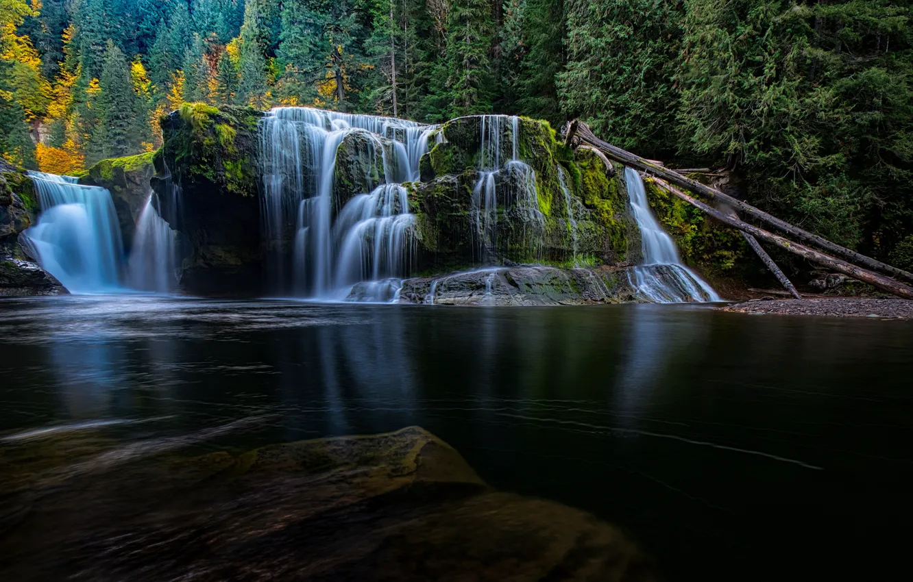 Photo wallpaper forest, the dark background, rocks, shore, waterfall, USA