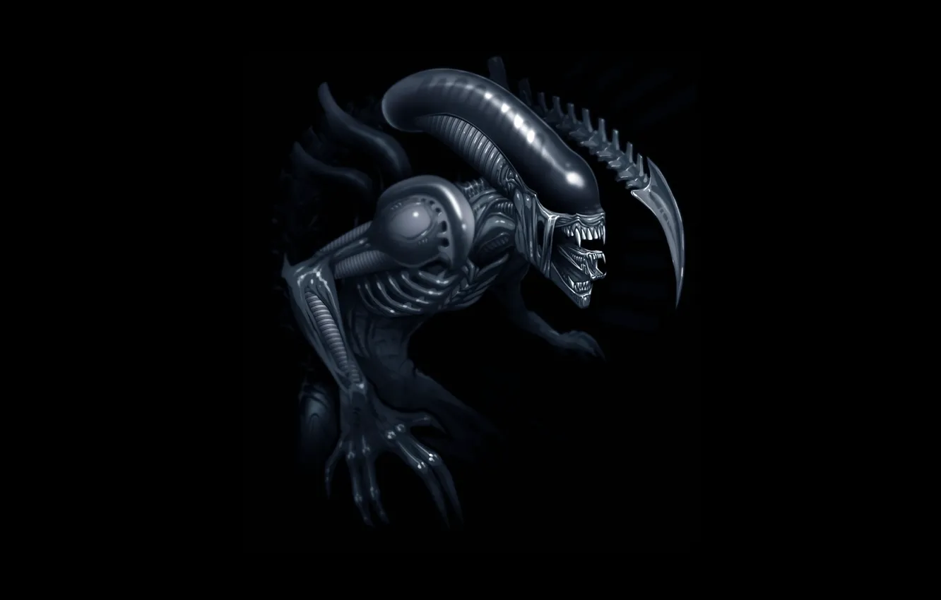 Photo wallpaper art, Stranger, alien, art, Xenomorph, xenomorph