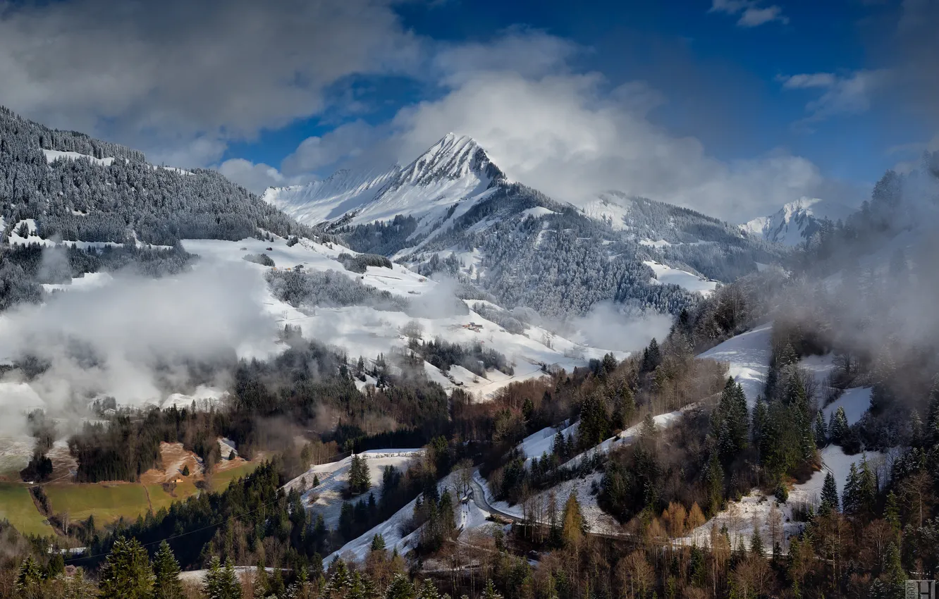 Photo wallpaper winter, forest, clouds, mountains, fog, Alps