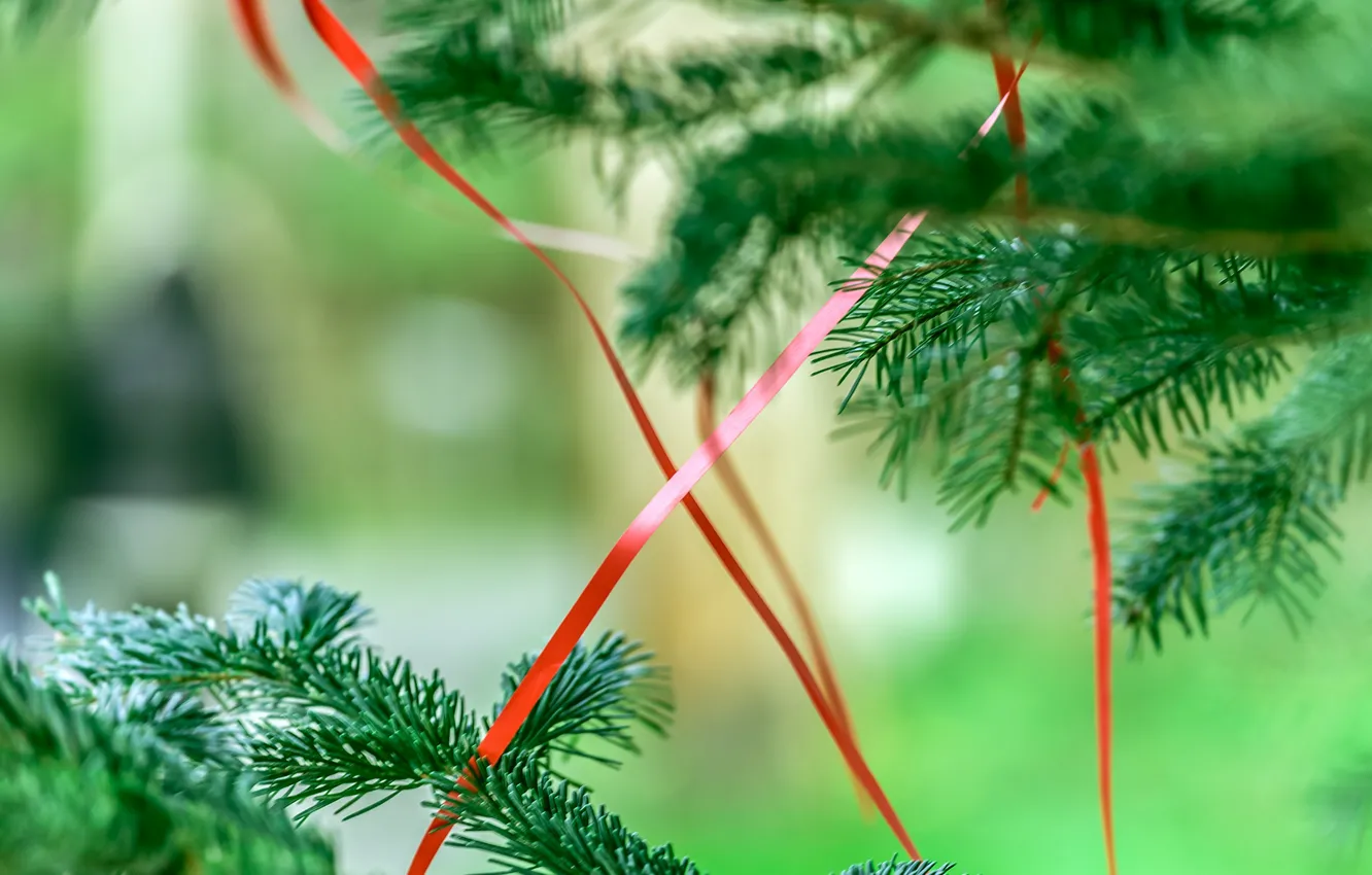 Photo wallpaper holiday, tree, new year, ribbon