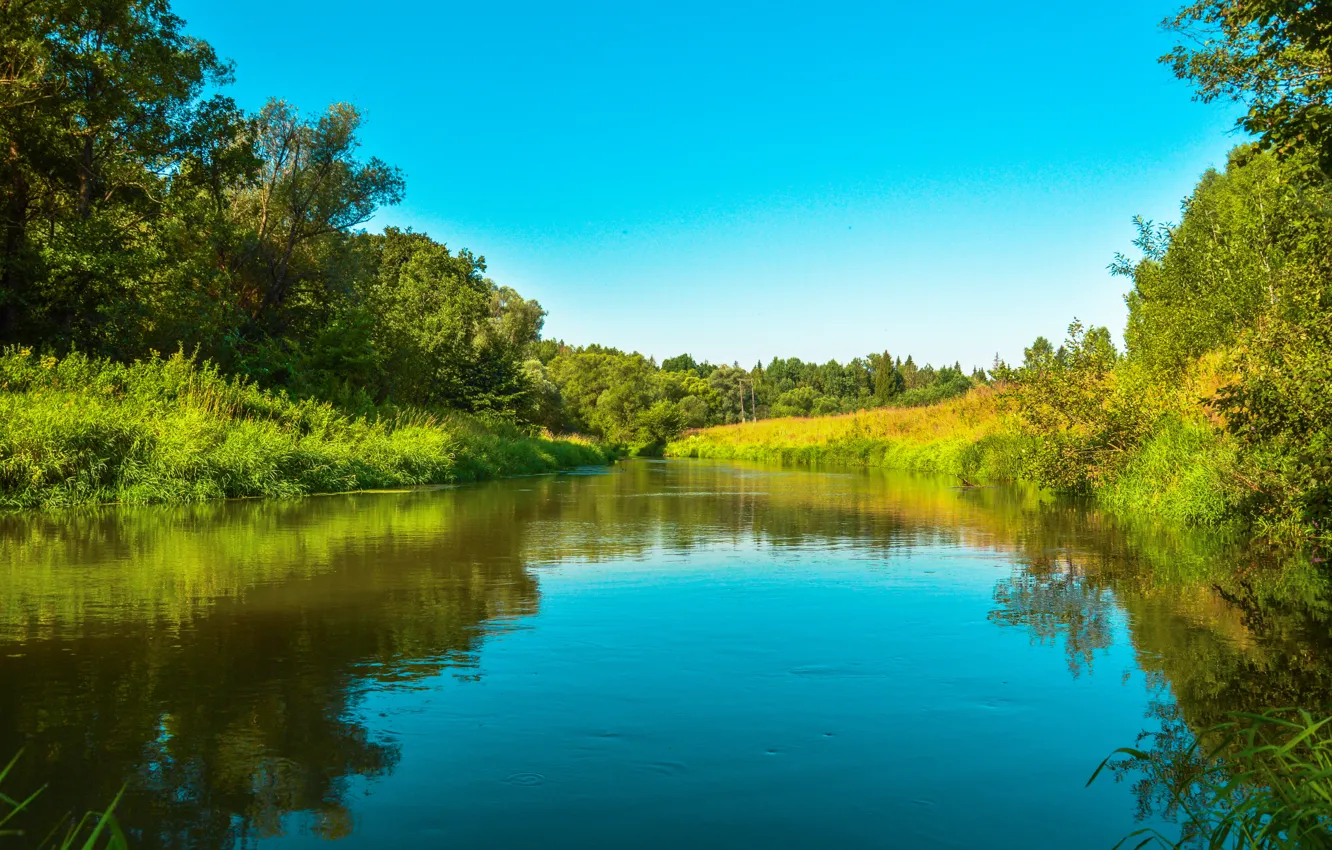 Wallpaper Nature, Russia, Nature, Russia, The River Vorya, River Vorya ...