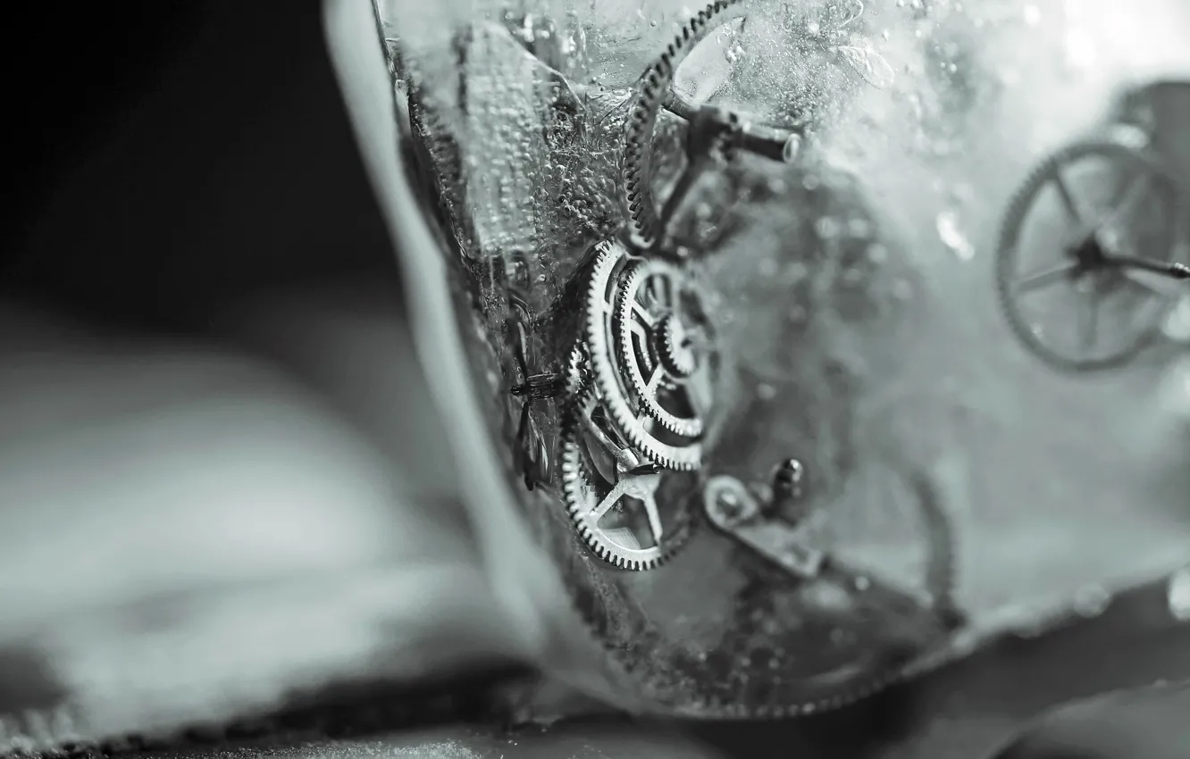 Photo wallpaper ice, macro, gear