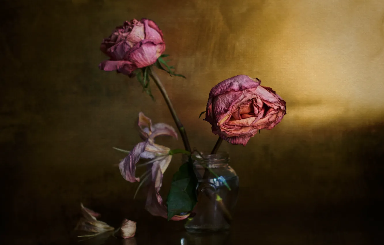 Photo wallpaper roses, bouquet, the elderly, ✿