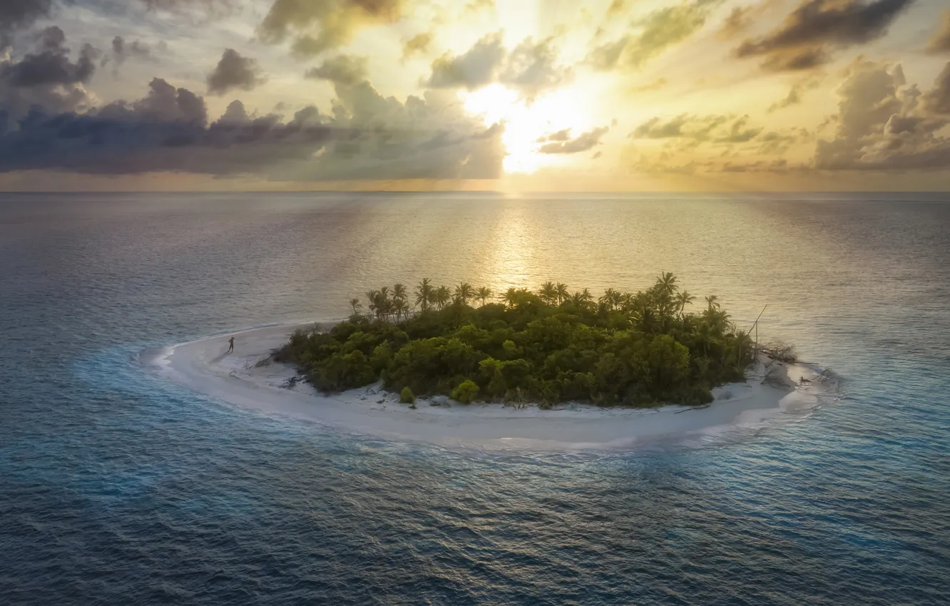 Photo wallpaper island, tropical, flora, fauna