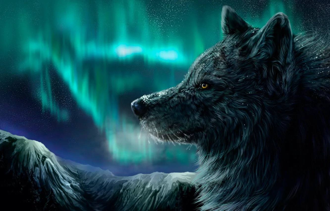 Photo wallpaper winter, night, wolf, Northern lights, snow is falling