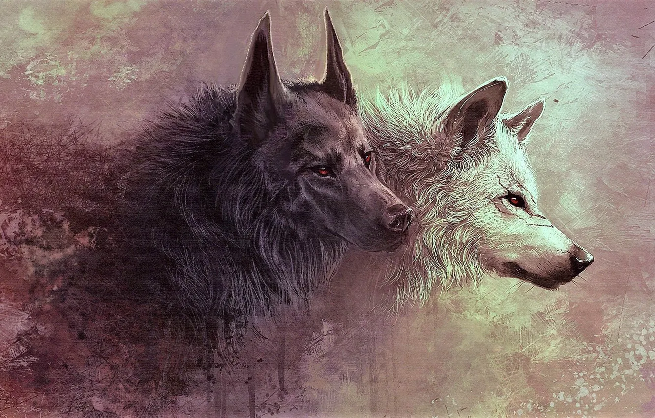 Photo wallpaper animals, animals, wolves
