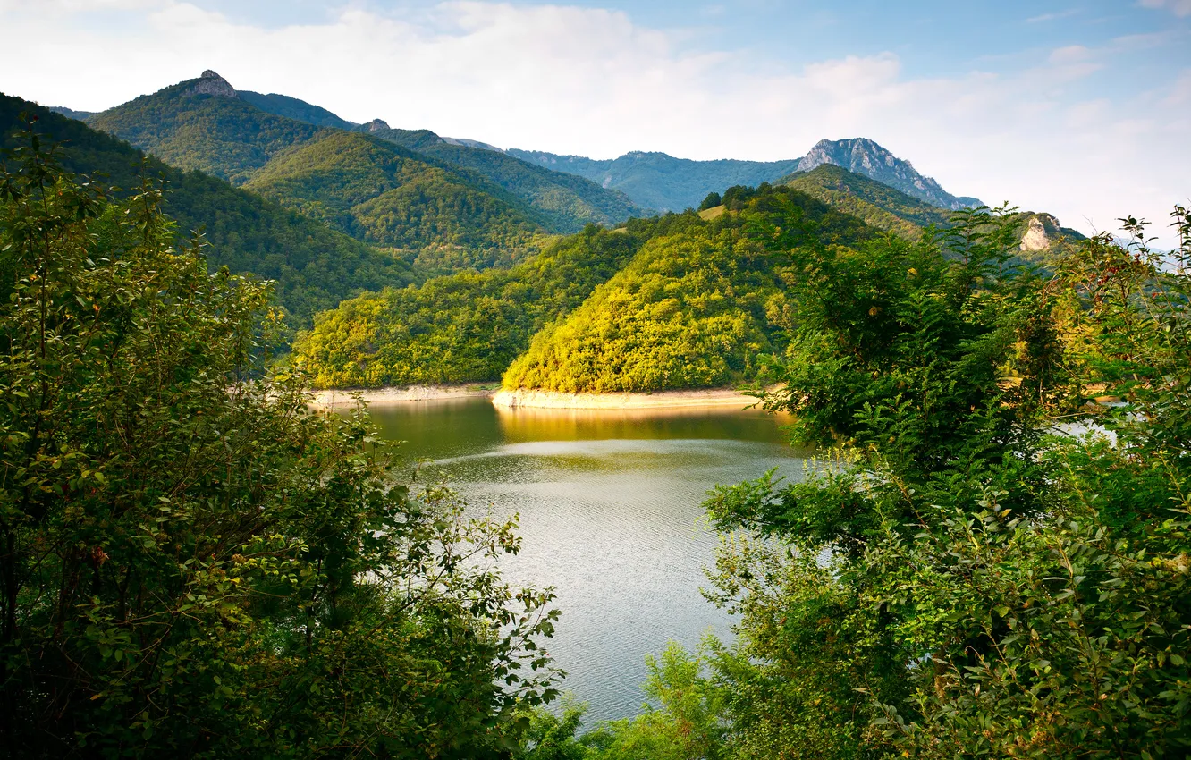 Photo wallpaper greens, mountains, hills, vegetation, river, the bushes