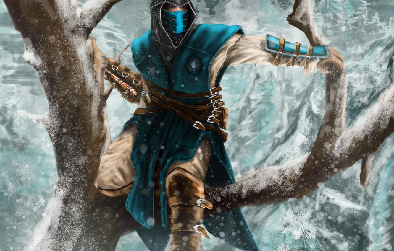 Photo wallpaper art, assassins creed, art, assassin, LetticiaMaer, assassin Sub-Zero