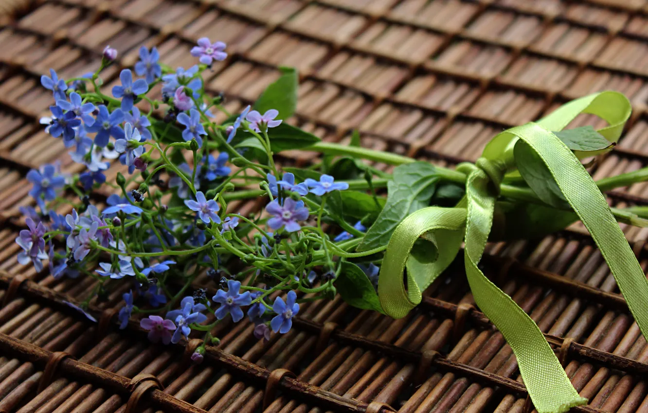 Photo wallpaper flowers, plant, spring, a bunch, flora, Brunner