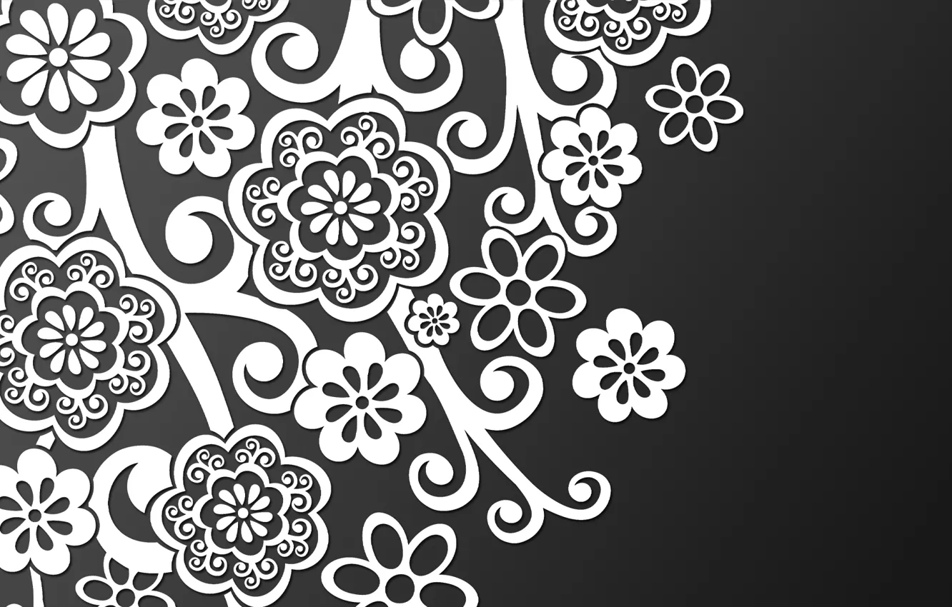 Photo wallpaper white, Black, lace