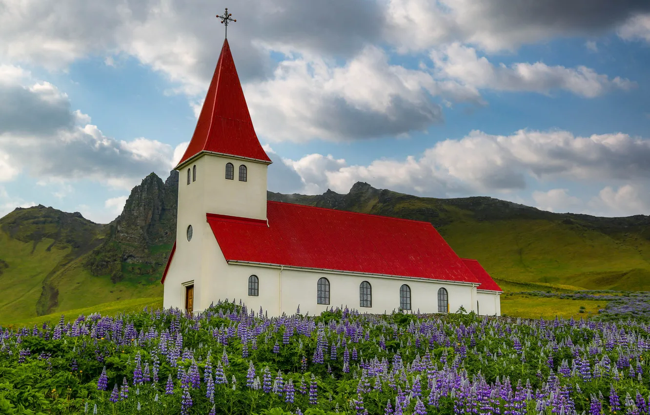 Photo wallpaper field, flowers, mountains, village, Church, Iceland, Vika, lupins