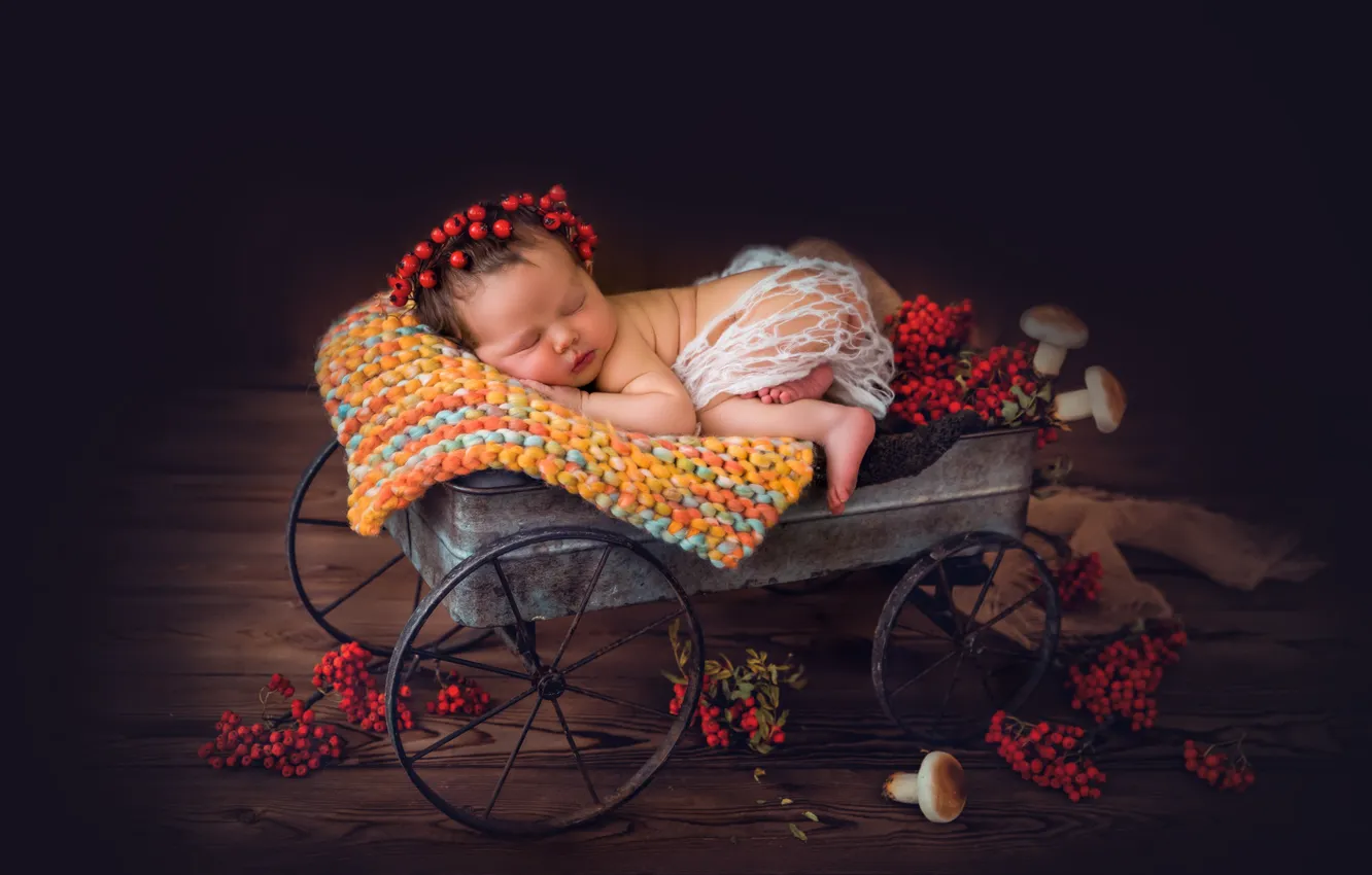 Photo wallpaper berries, mushrooms, sleep, girl, truck, wreath, baby, Rowan