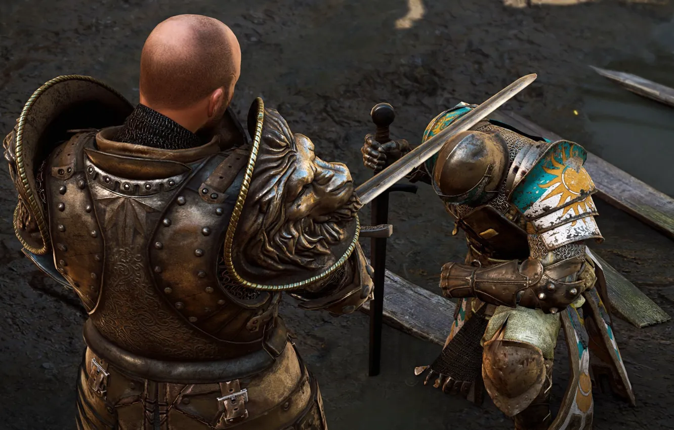 Photo wallpaper game, armor, war, lion, sun, man, warrior, pearls