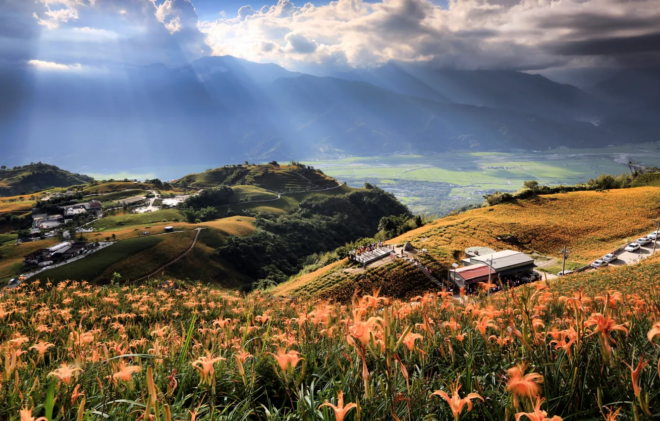 Photo wallpaper field, the sky, clouds, rays, light, trees, flowers, mountains