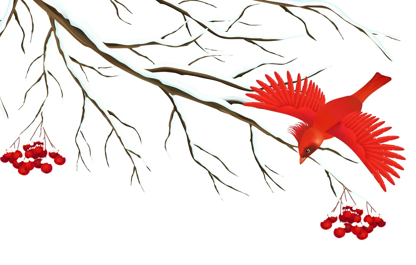 Photo wallpaper berries, bird, branch