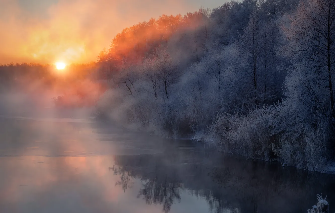 Photo wallpaper winter, trees, fog, river, dawn