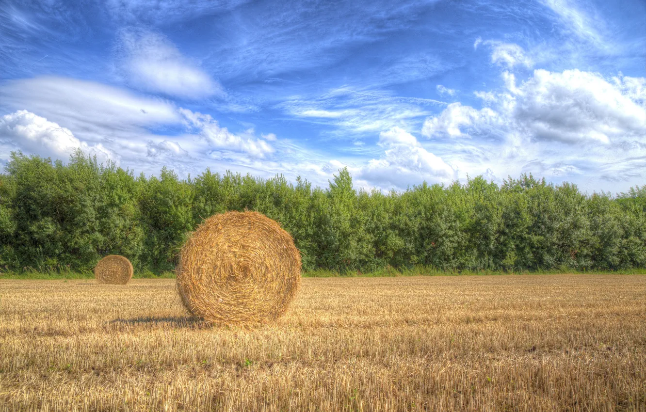 Photo wallpaper the sky, clouds, trees, field, shadow, harvest, hay, the countryside