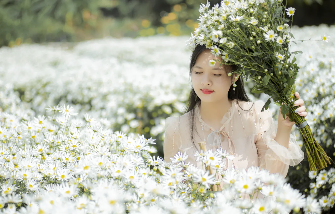 Photo wallpaper field, summer, girl, light, flowers, glade, chamomile, bouquet