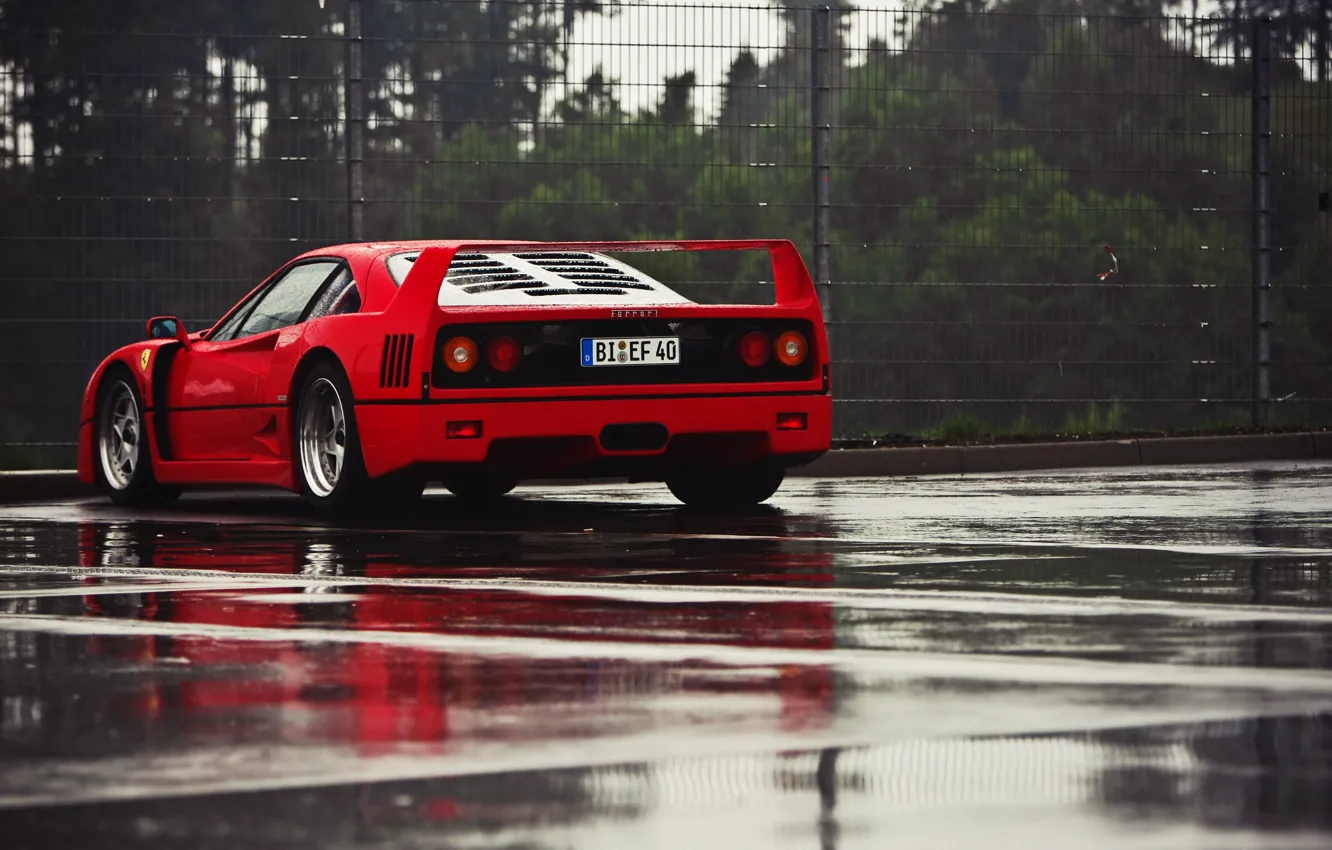 Photo wallpaper Red, F40, Rear view, Puddles