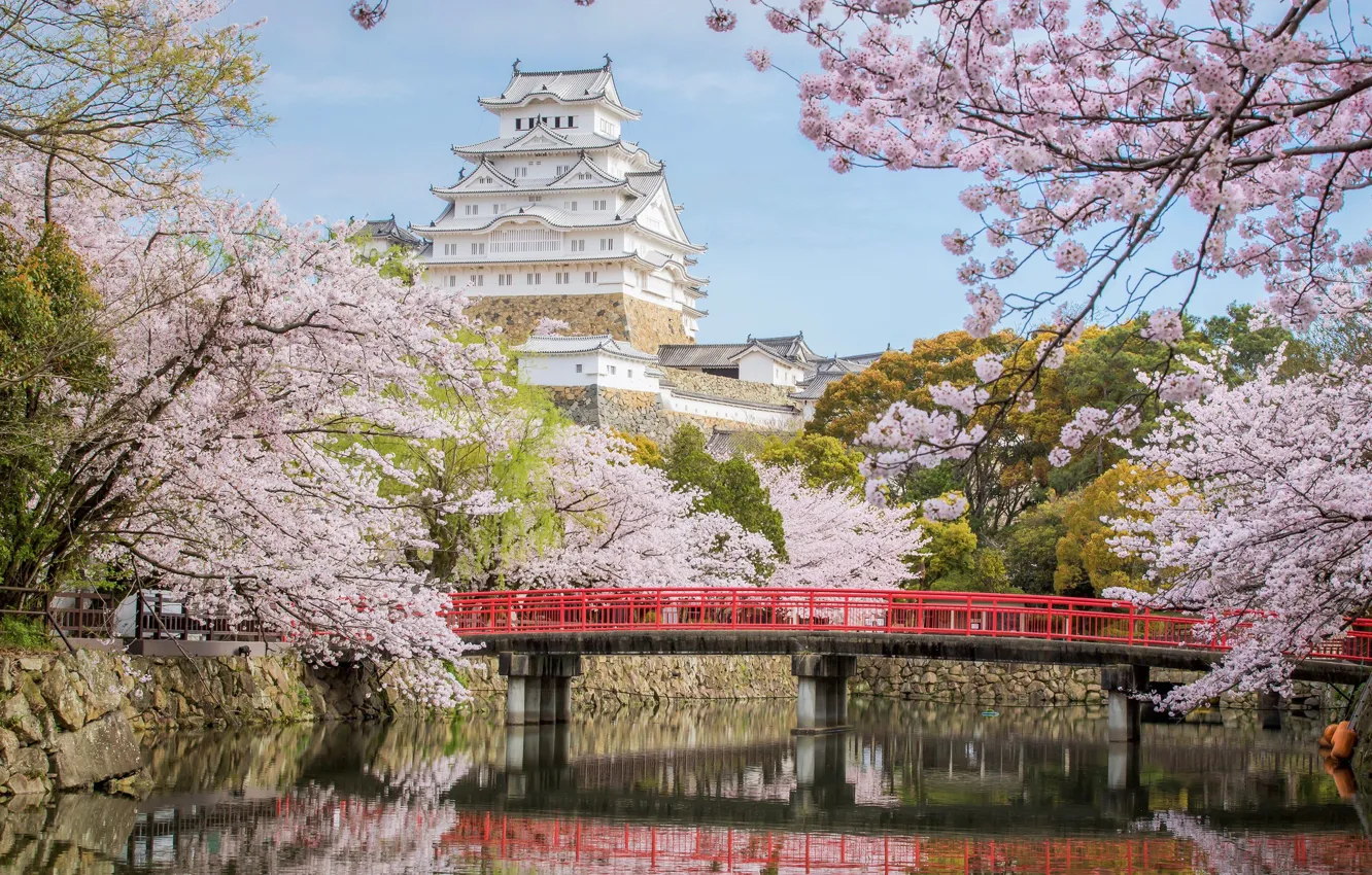 Photo wallpaper bridge, castle, Japan, Sakura, Himeji
