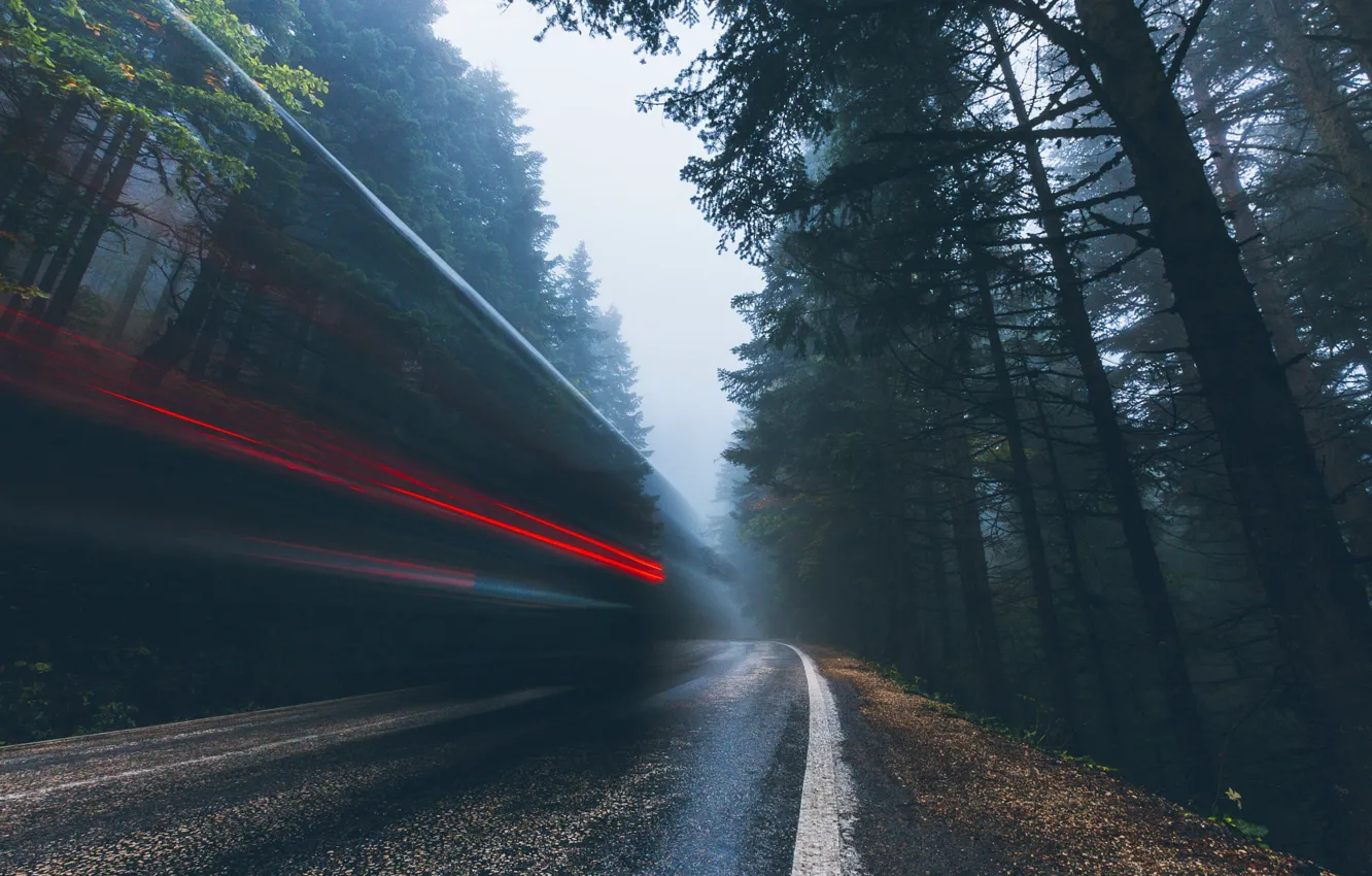 Photo wallpaper road, forest, light, nature, lights, excerpt