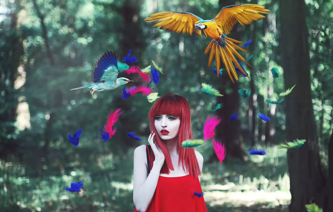 Photo wallpaper girl, birds, feathers, colorful