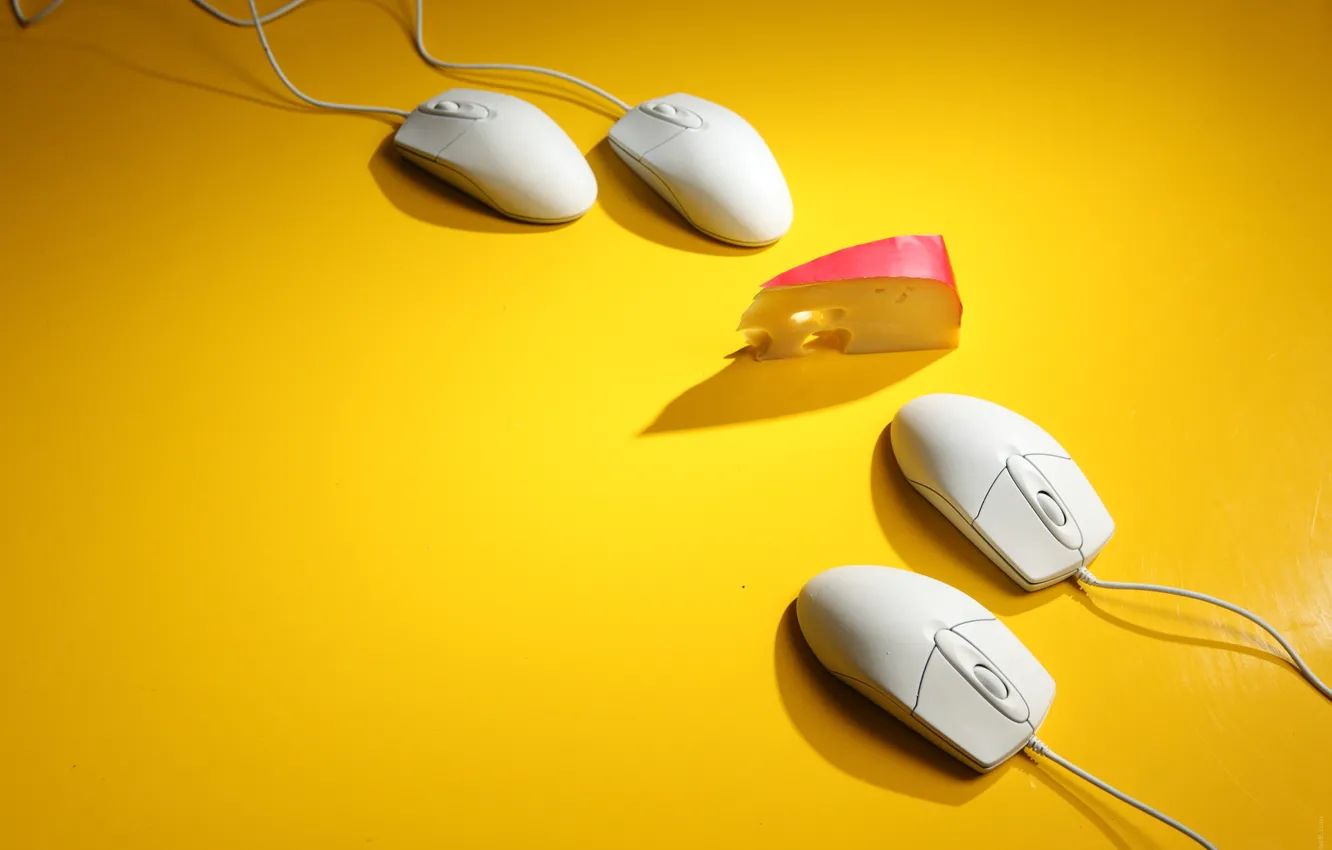 Wallpaper yellow, background, cheese, mouse, slice for mobile and