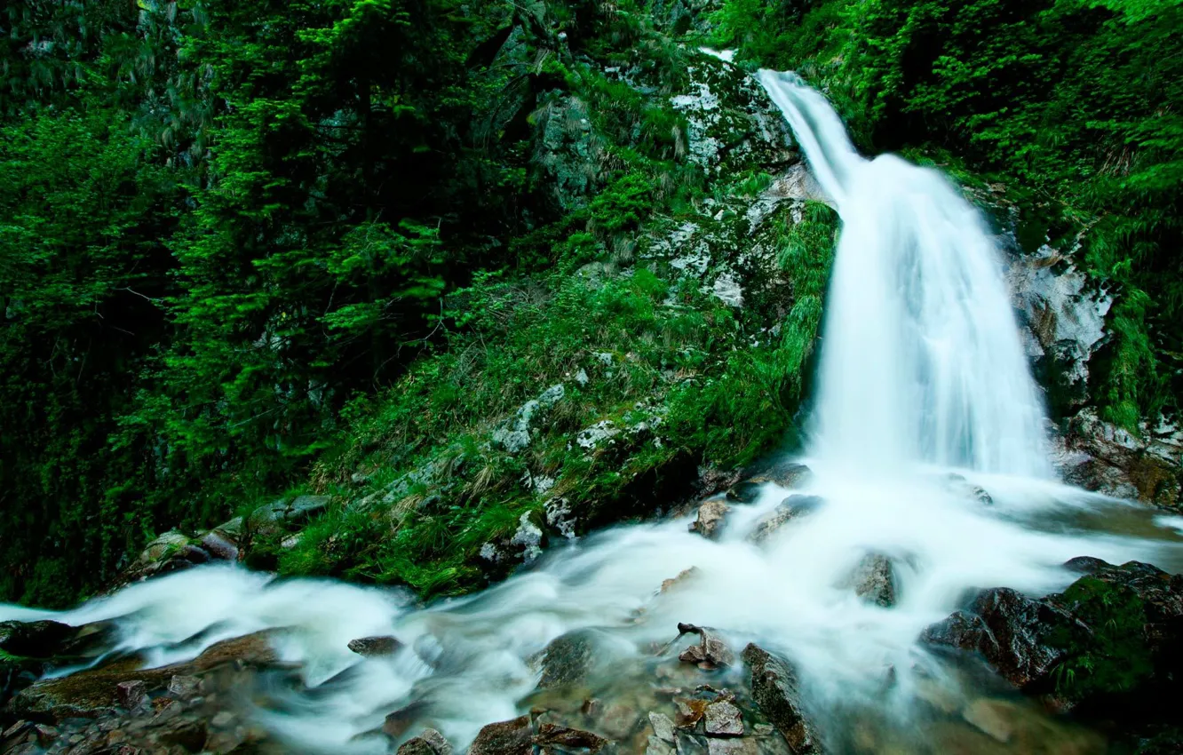 Photo wallpaper greens, water, stones, Waterfall