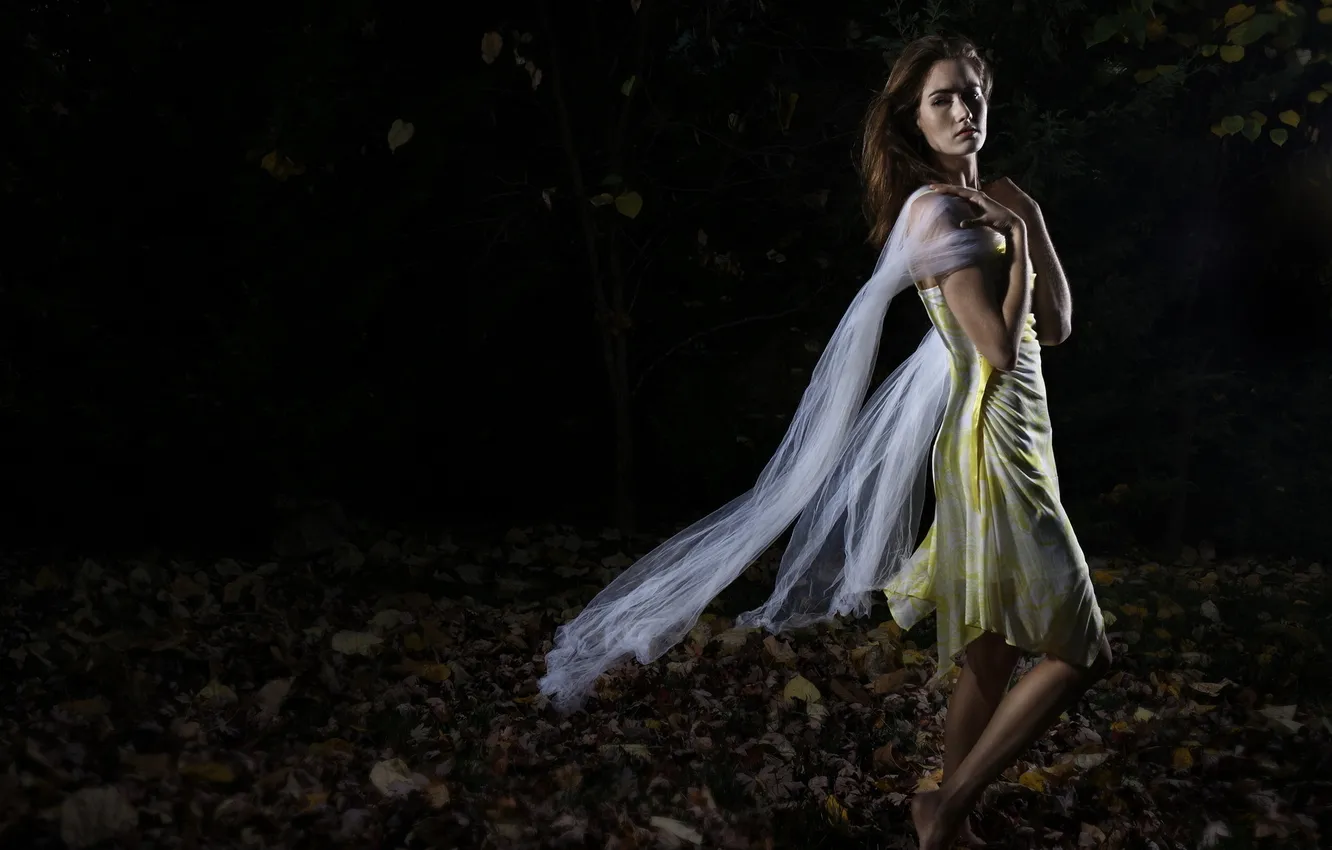 Photo wallpaper girl, background, Cari