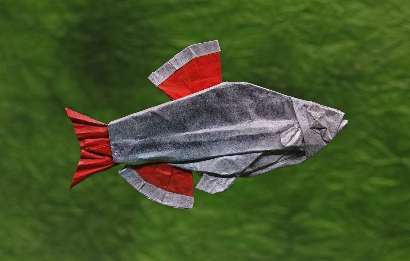 Photo wallpaper paper, background, fish, origami, Cardinal