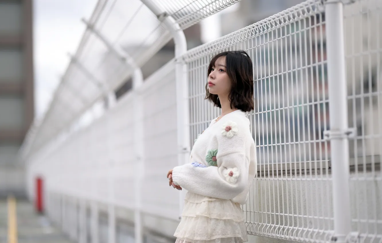 Photo wallpaper girl, the fence, Asian