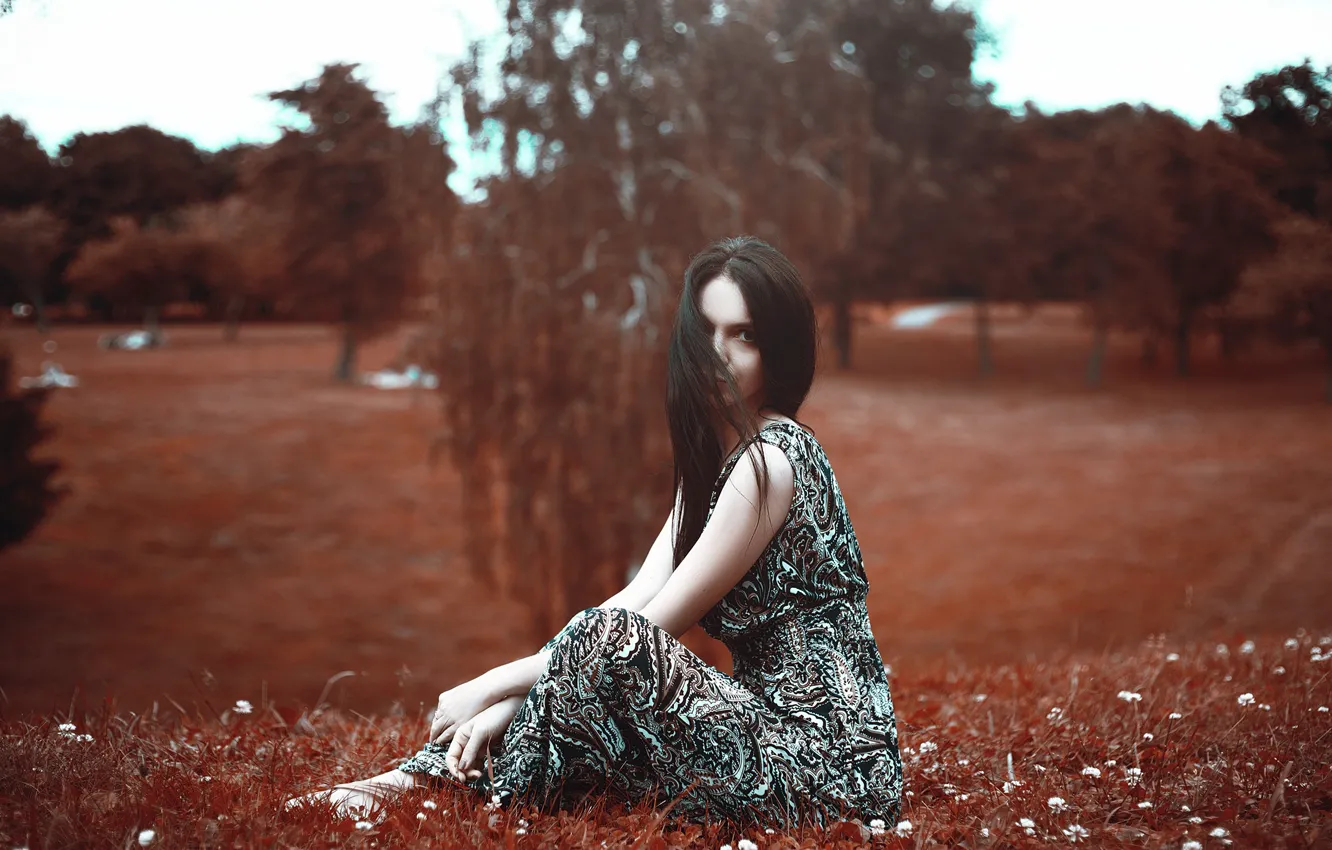 Photo wallpaper girl, trees, glade, dress, brunette, hairstyle, sitting, on the grass