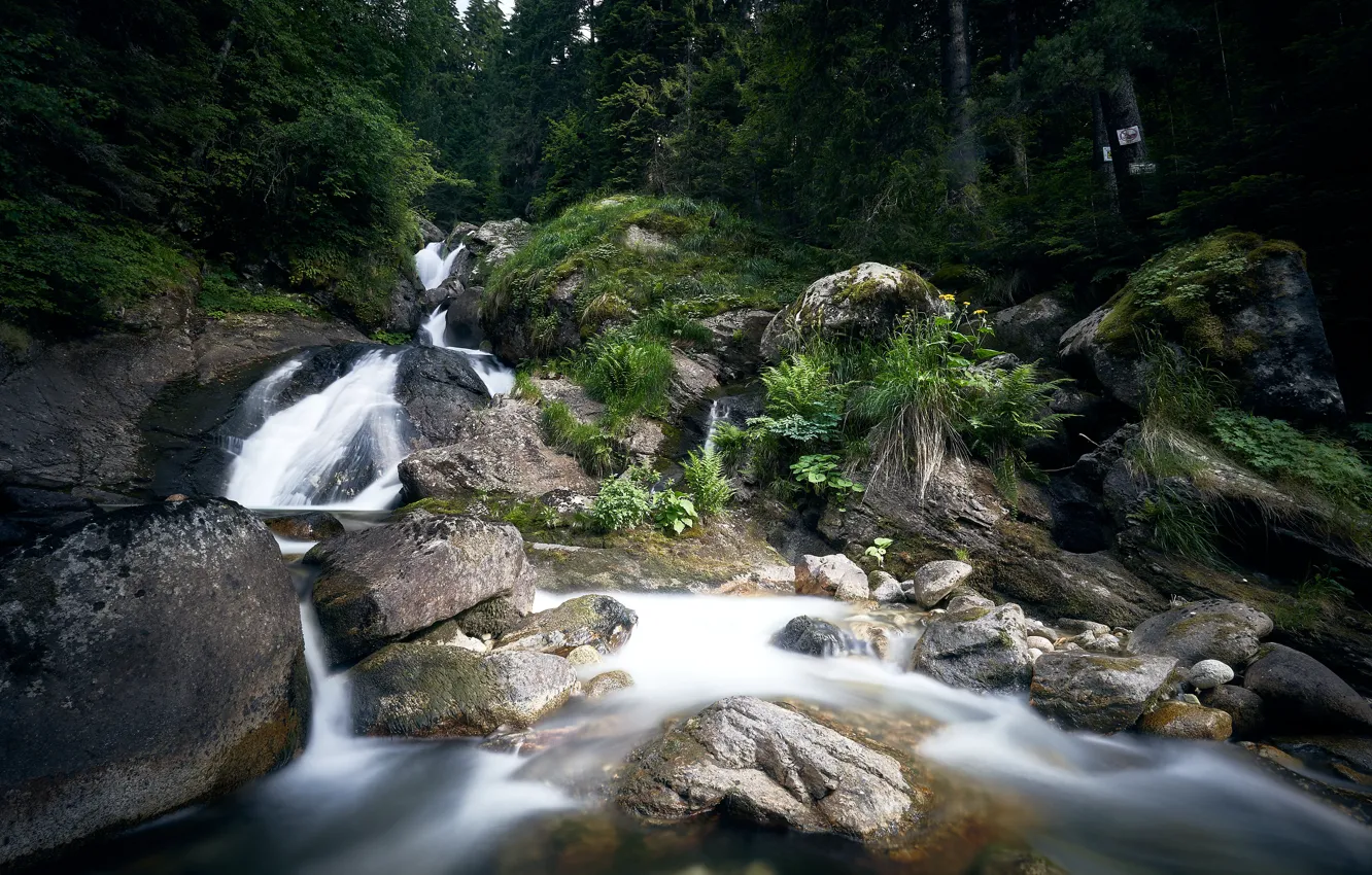 Photo wallpaper forest, stones, waterfall