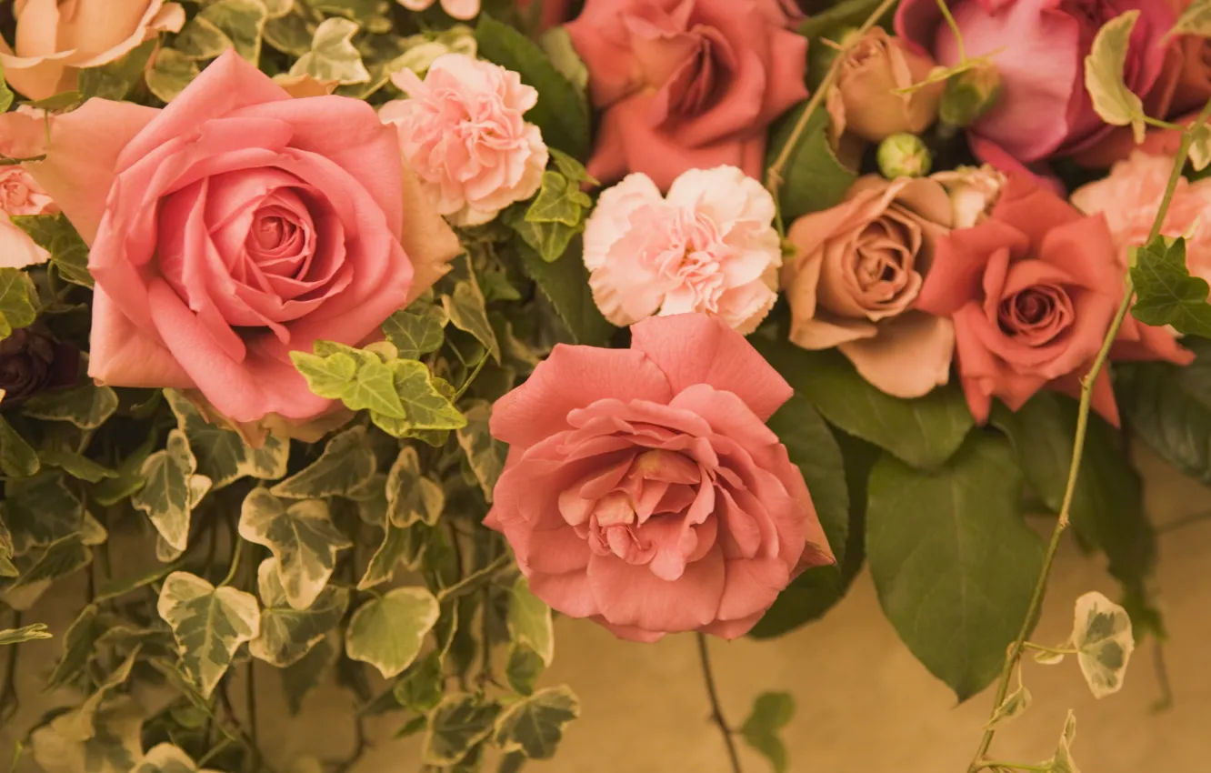 Photo wallpaper cute, roses, beauty