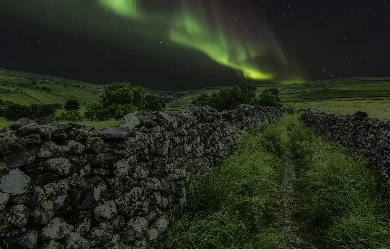 Photo wallpaper field, summer, the sky, grass, stars, trees, night, green